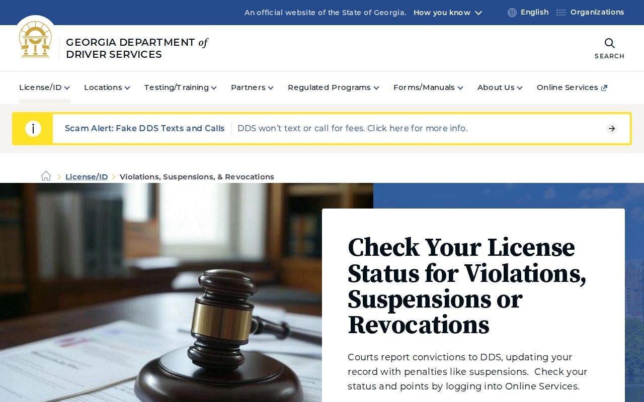 Webster County traffic court record and Georgia DDS distinction